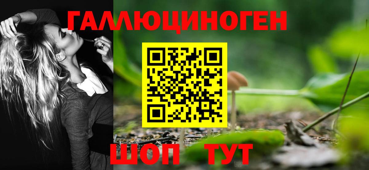 Муравленко  Галлюциногенные грибы Psilocybe  Вход с VPN 